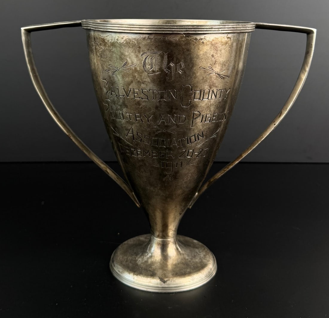Galveston Texas Pigeon Association Trophy: Budweiser Cup Donated by Brock Beer Co for Highest Scoring Chicken in the Show Won by Henry Thomas. 9 1/2" by 9 1/2" by 6 1/2".