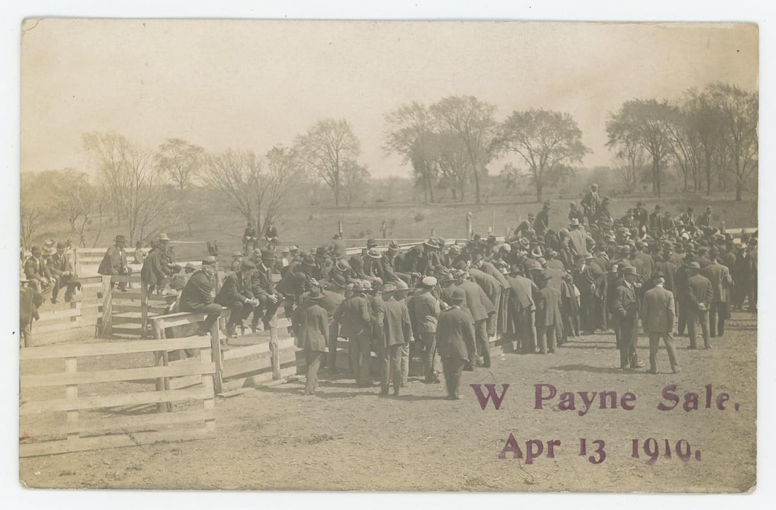 Livestock Auction RPPC Postcard: W. Payne Sale April 13th 1910.