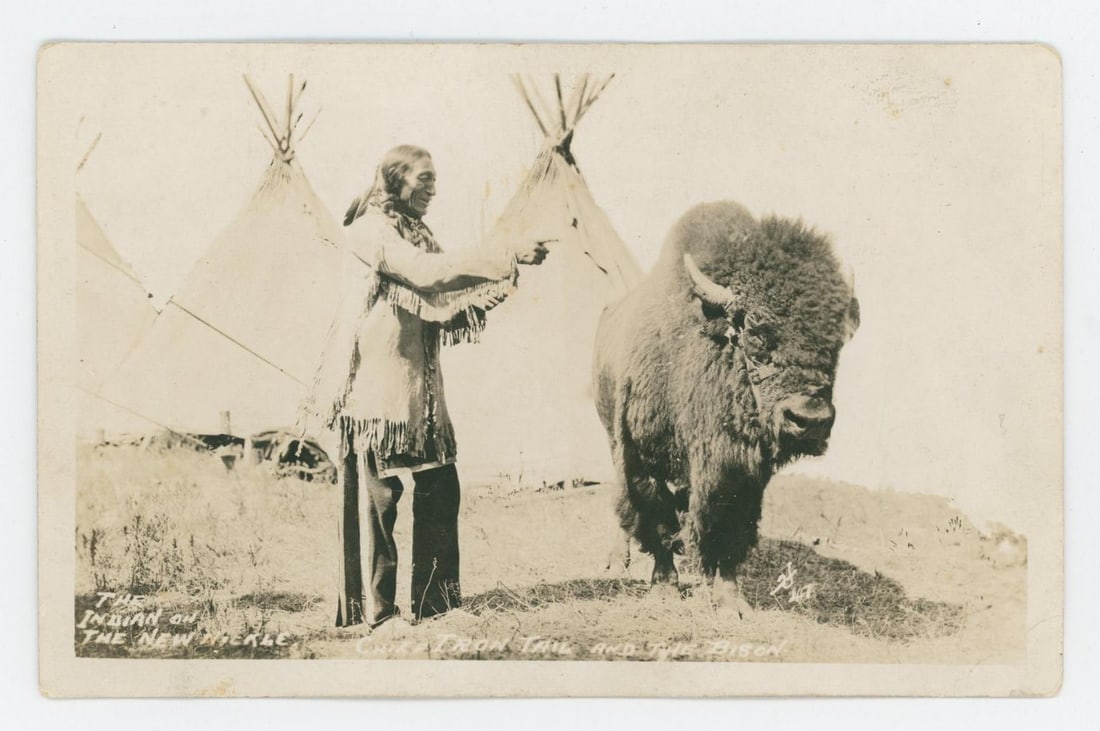 Chief Iron Tail and the Bison RPPC Postcard: Nice image.