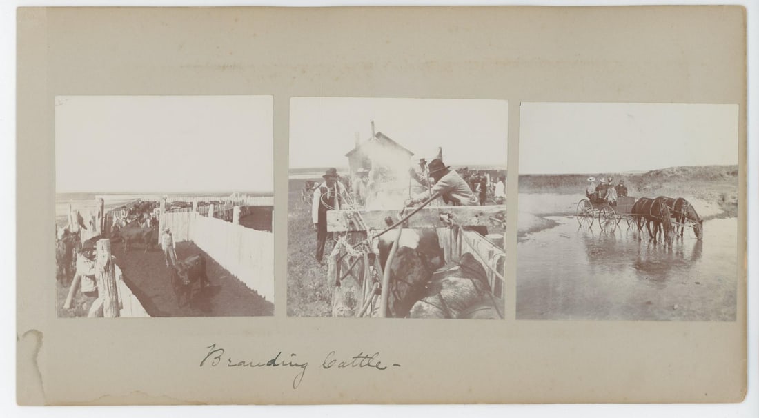 Pine Ridge Sioux Indian Branding Cattle Photo: 6" by 11"