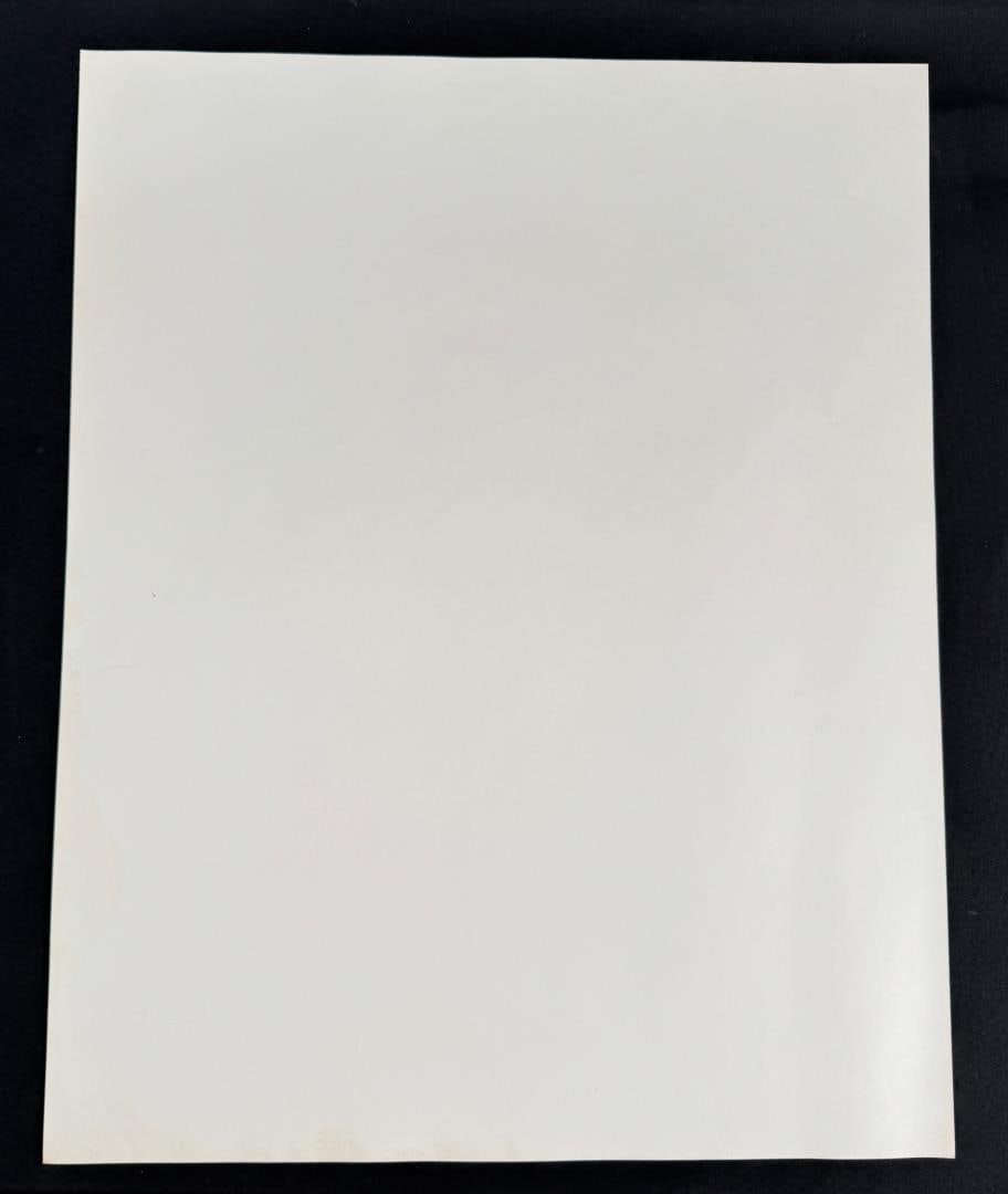 Andy Warhol Muhammad Ali Offset Lithograph - 3