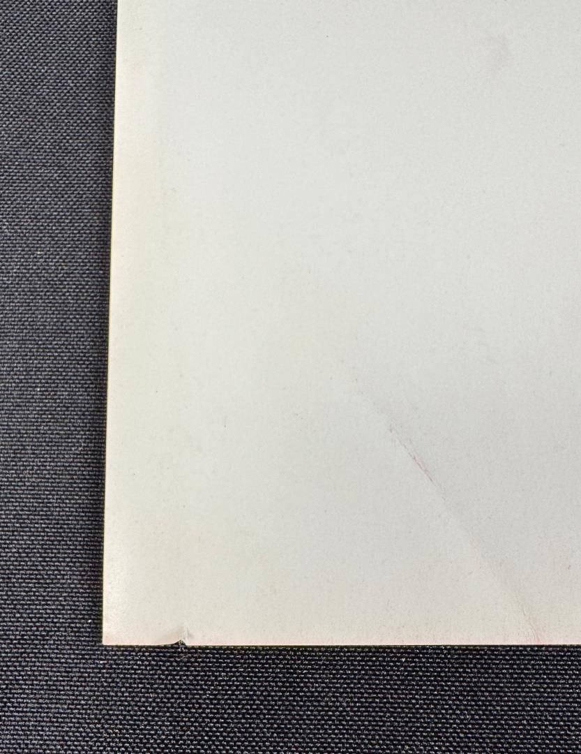 Andy Warhol Muhammad Ali Offset Lithograph - 4