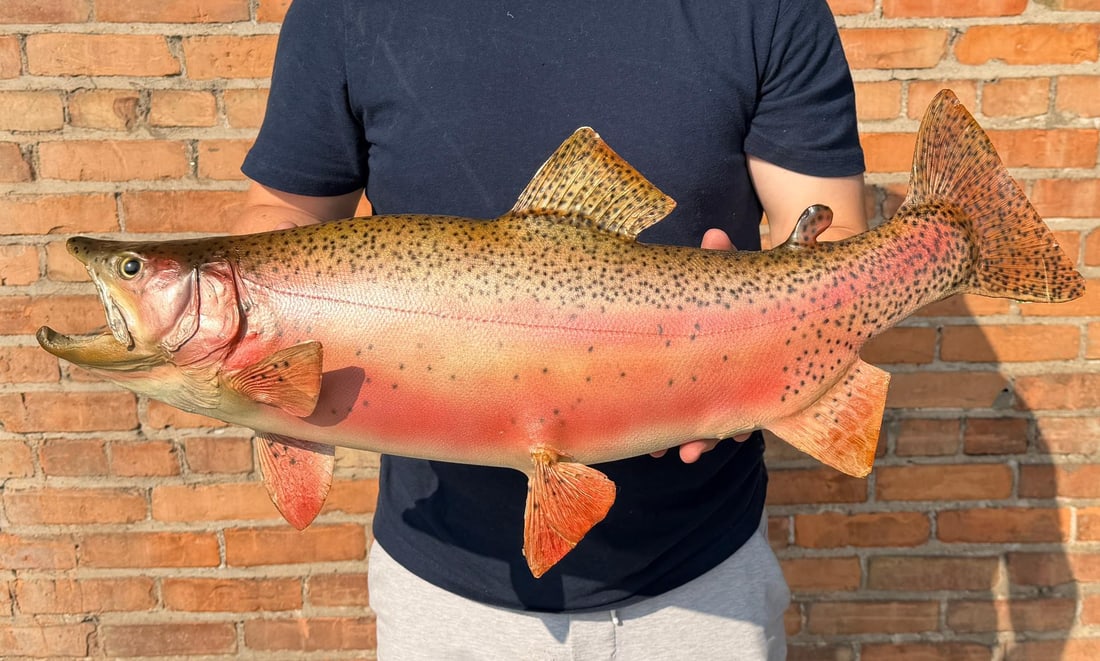 Large Oregon Steelhead Trout Real Skin Fish Mount: 26 1/4" by 10 1/2" by 5 3/4"