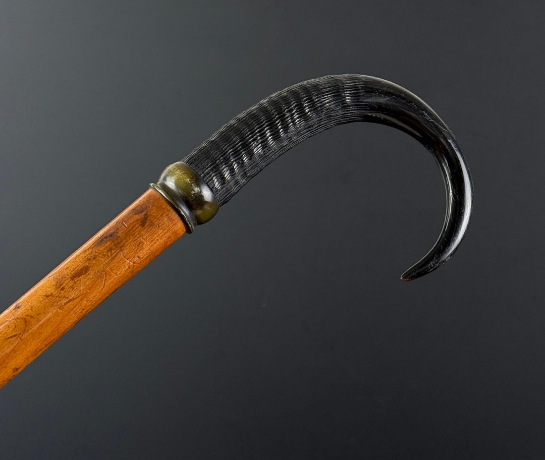 Swiss Chamois Goat Horn Walking Stick Cane: 35" long.