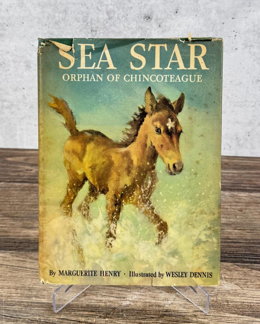 Sea Star Orphan of Chincoteague (1 of 7)