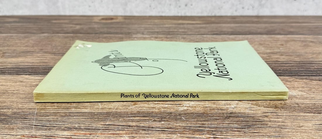 Plants Of Yellowstone National Park: WB McDougall & Herma A Baggley, 1936