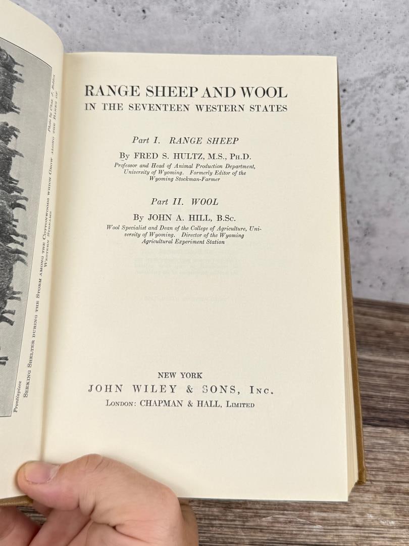Range Sheep and Wool - 4