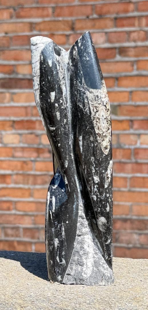 Orthoceras Fossil Tower (1 of 7)
