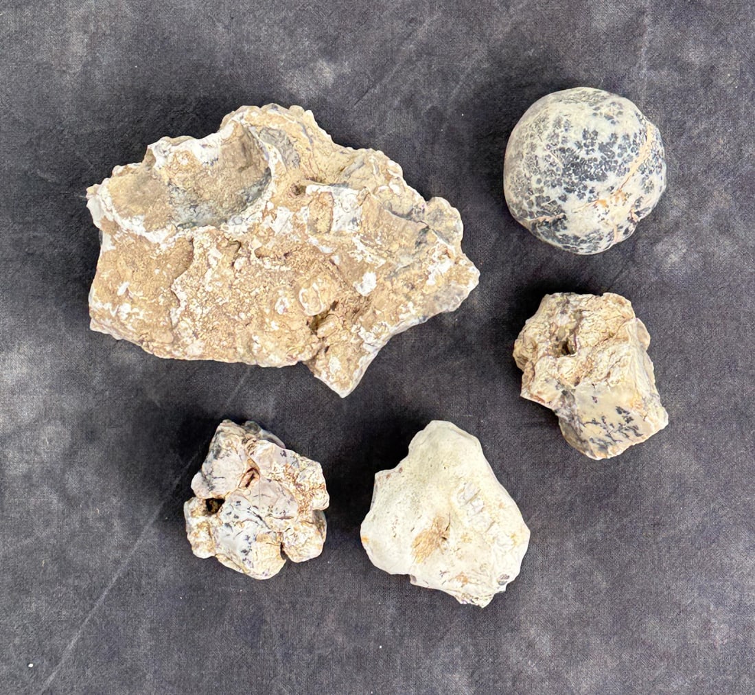Group Of Dendritic Merlinite Opal Nodules (1 of 4)