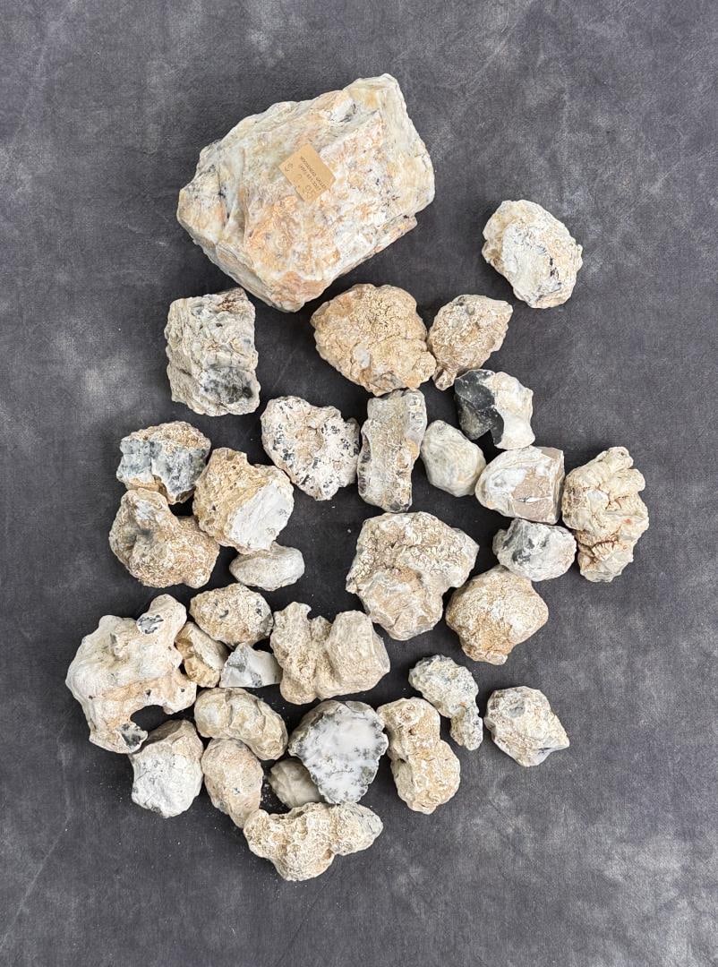 Group Of Dendritic Merlinite Opal Nodules (1 of 3)
