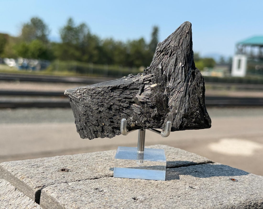 Black Kyanite Crystal (1 of 5)