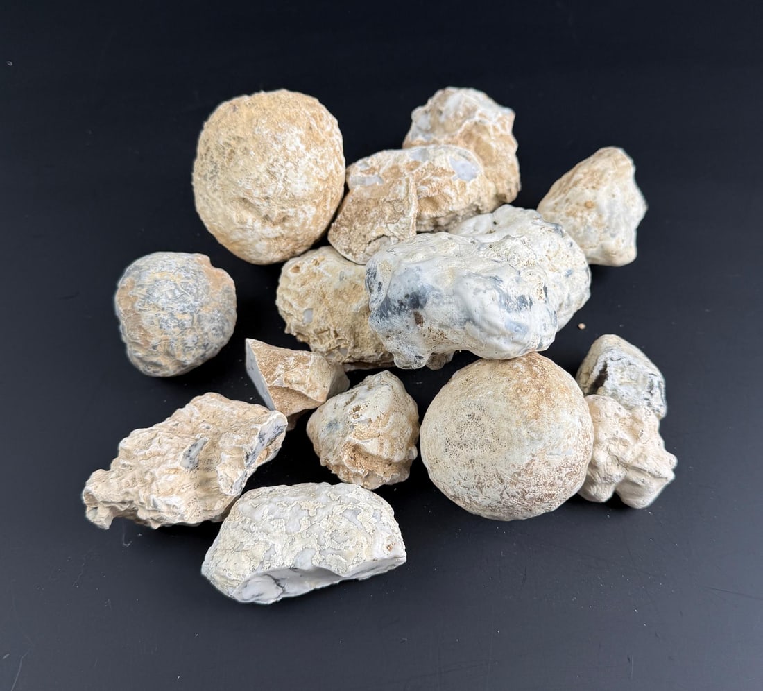 Group Of Dendritic Merlinite Opal Nodules: 3.09lbs