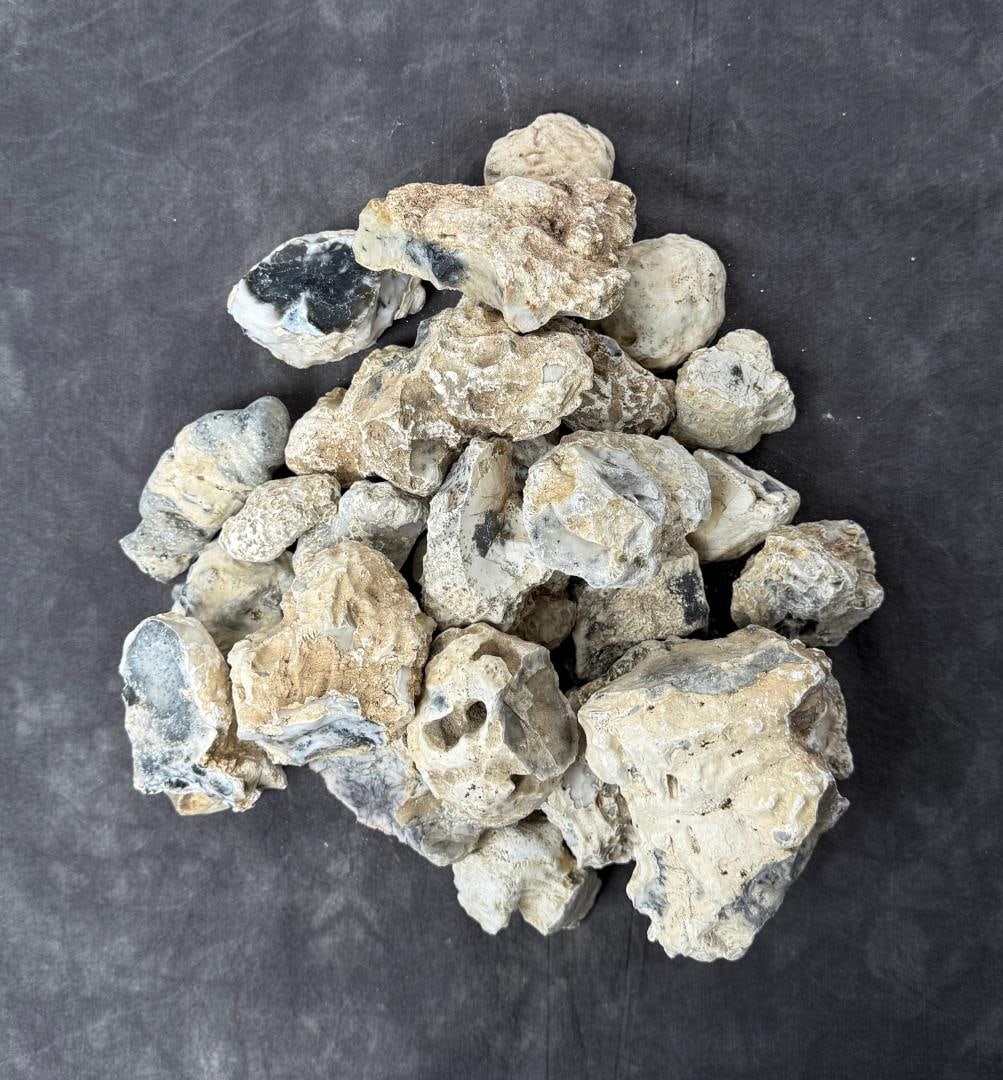 Group Of Dendritic Merlinite Opal Nodules: 7.63lbs