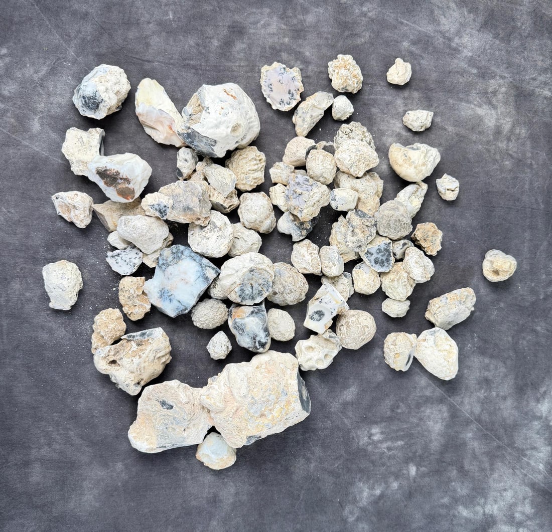 Group Of Dendritic Merlinite Opal Nodules: 7.37lbs