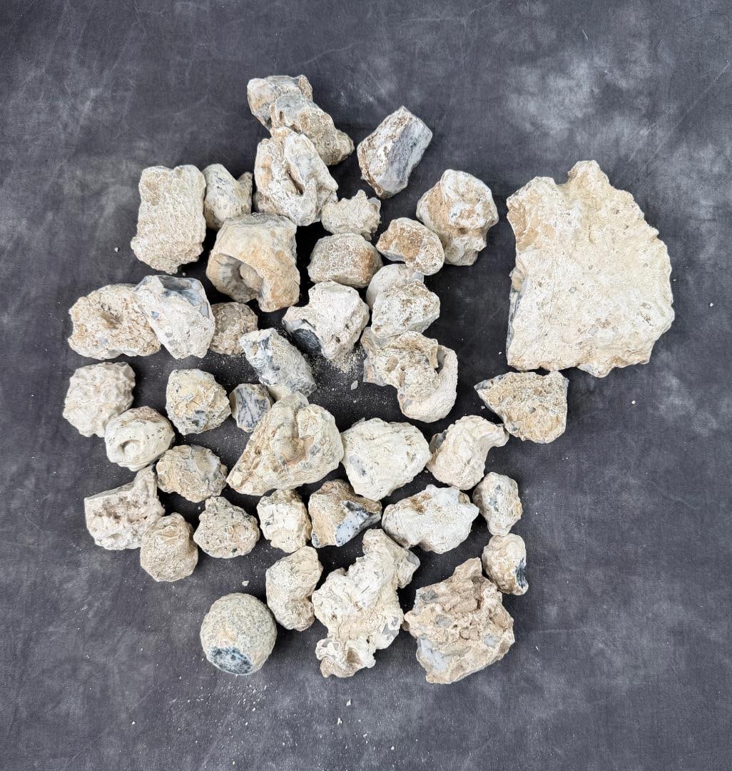 Group Of Dendritic Merlinite Opal Nodules: 7.75lbs