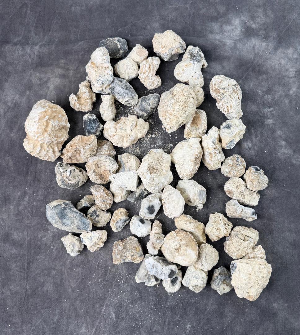 Group Of Dendritic Merlinite Opal Nodules: 8.31lbs