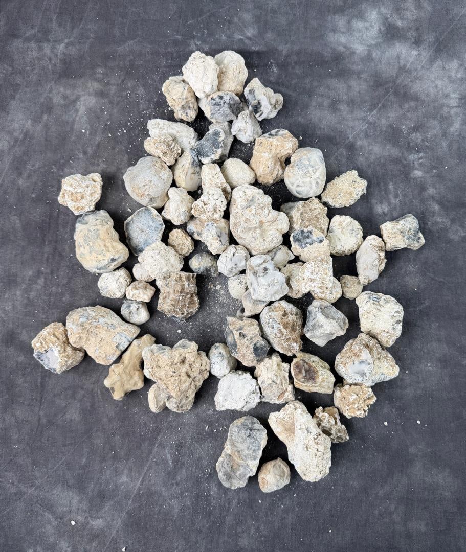 Group Of Dendritic Merlinite Opal Nodules: 7.75lbs