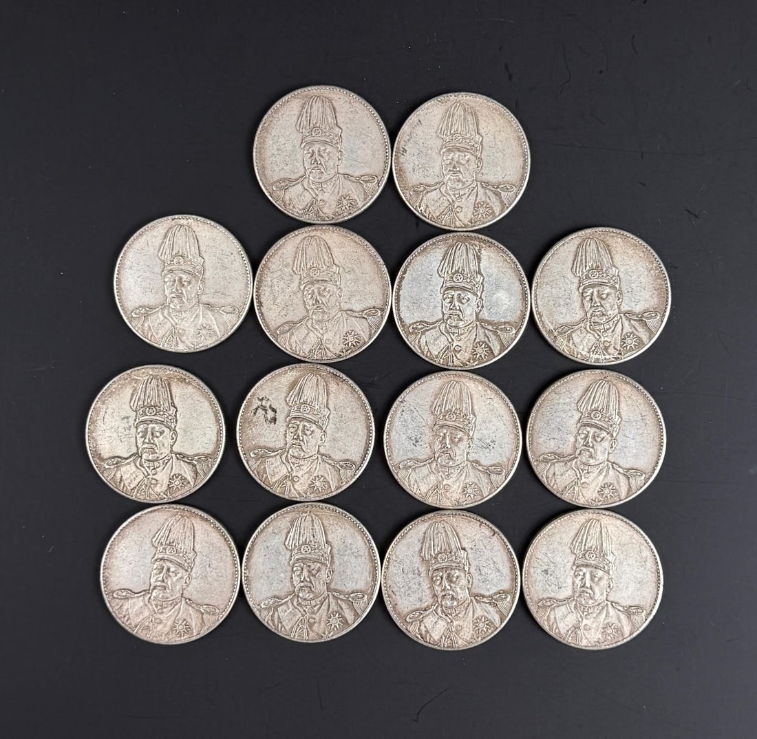 Reproduction Chinese 1 Yuan Shikai Coins: Reproduction. 14 total.