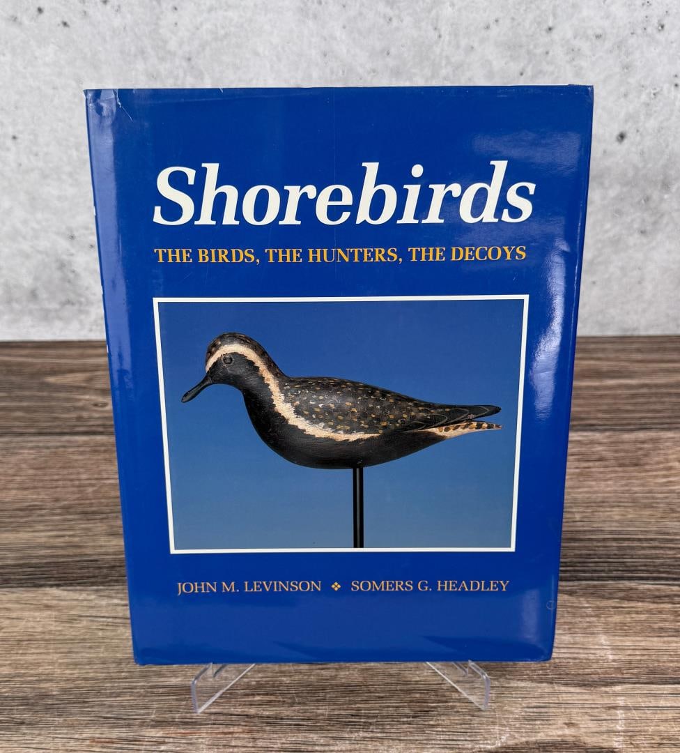 Shorebirds (1 of 7)