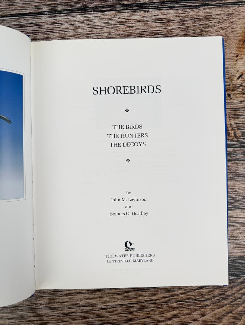 Shorebirds - 4