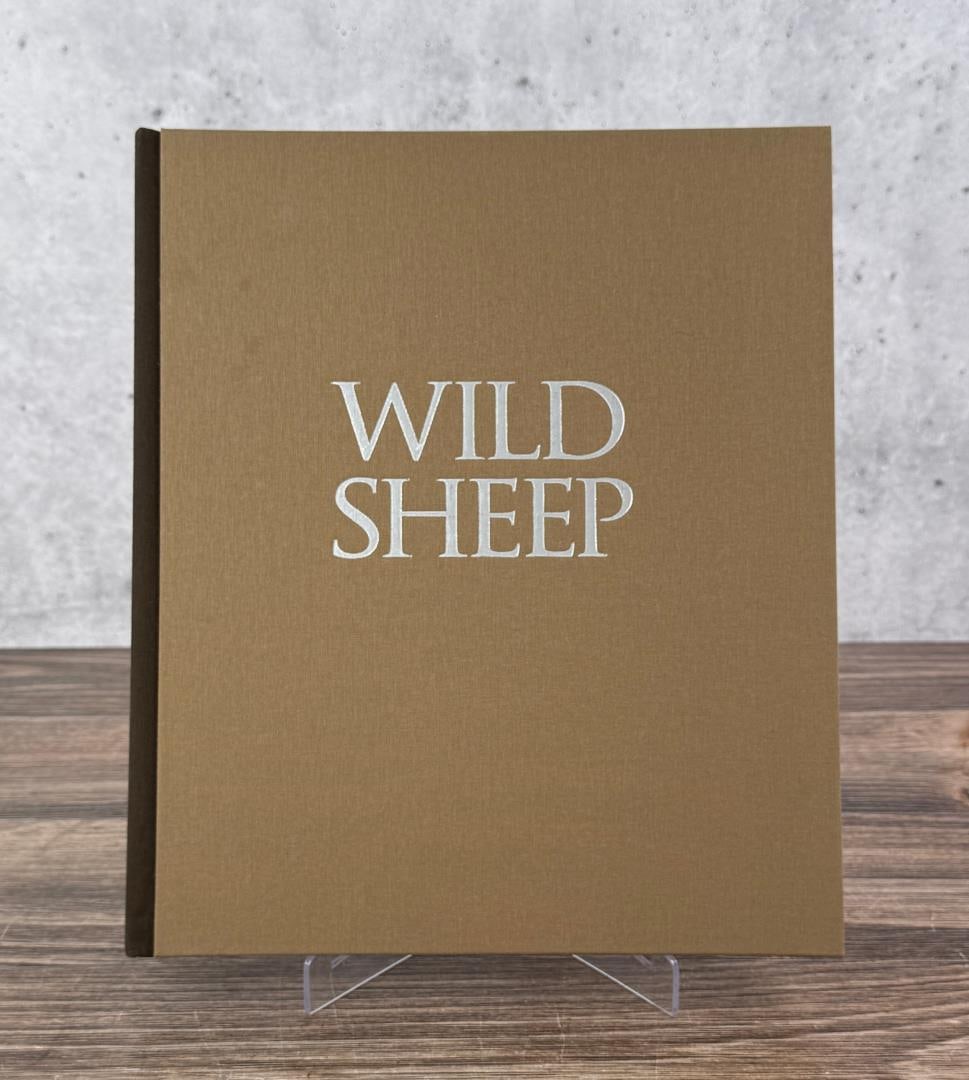 Wild Sheep Presented by Yeti (1 of 7)