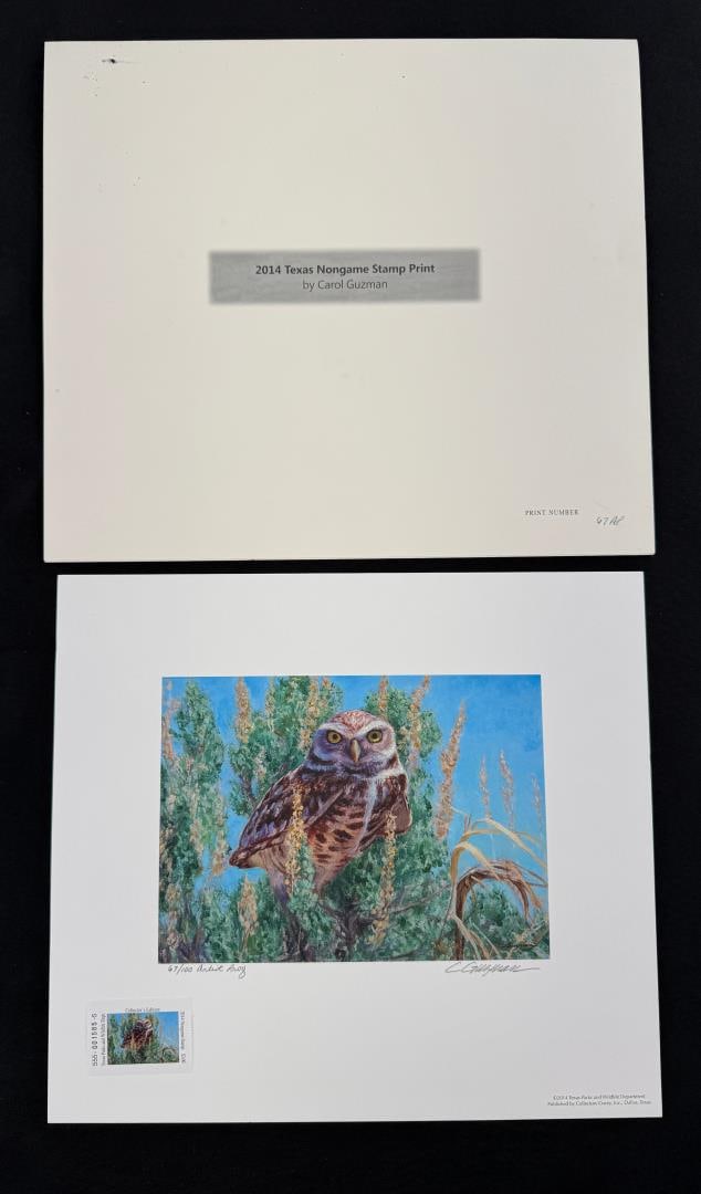2014 Texas Nongame Stamp Print (1 of 7)