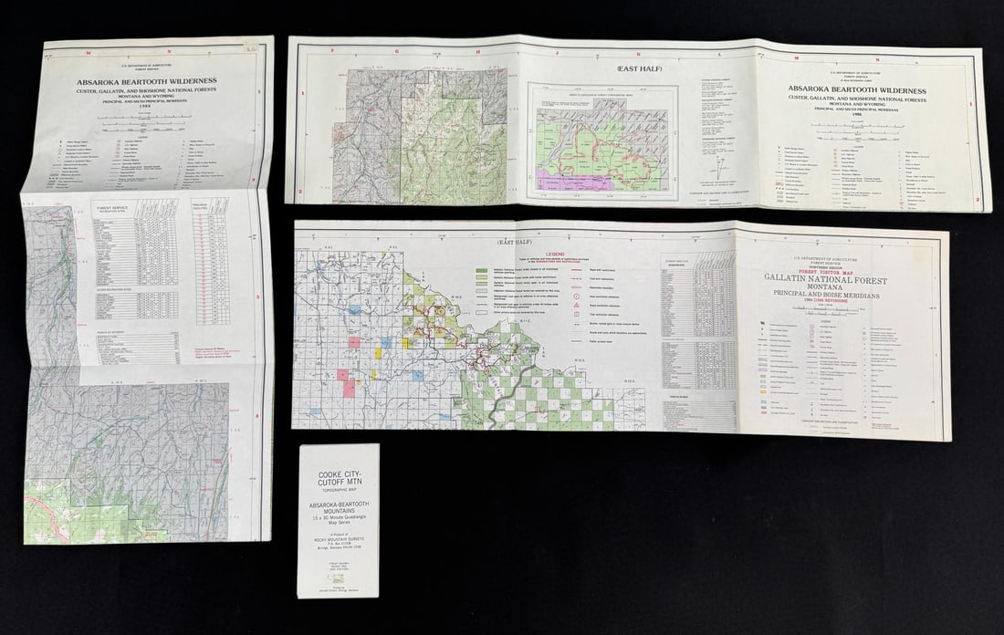 Montana USFS Forest Service Maps: Largest is 41" by 48".