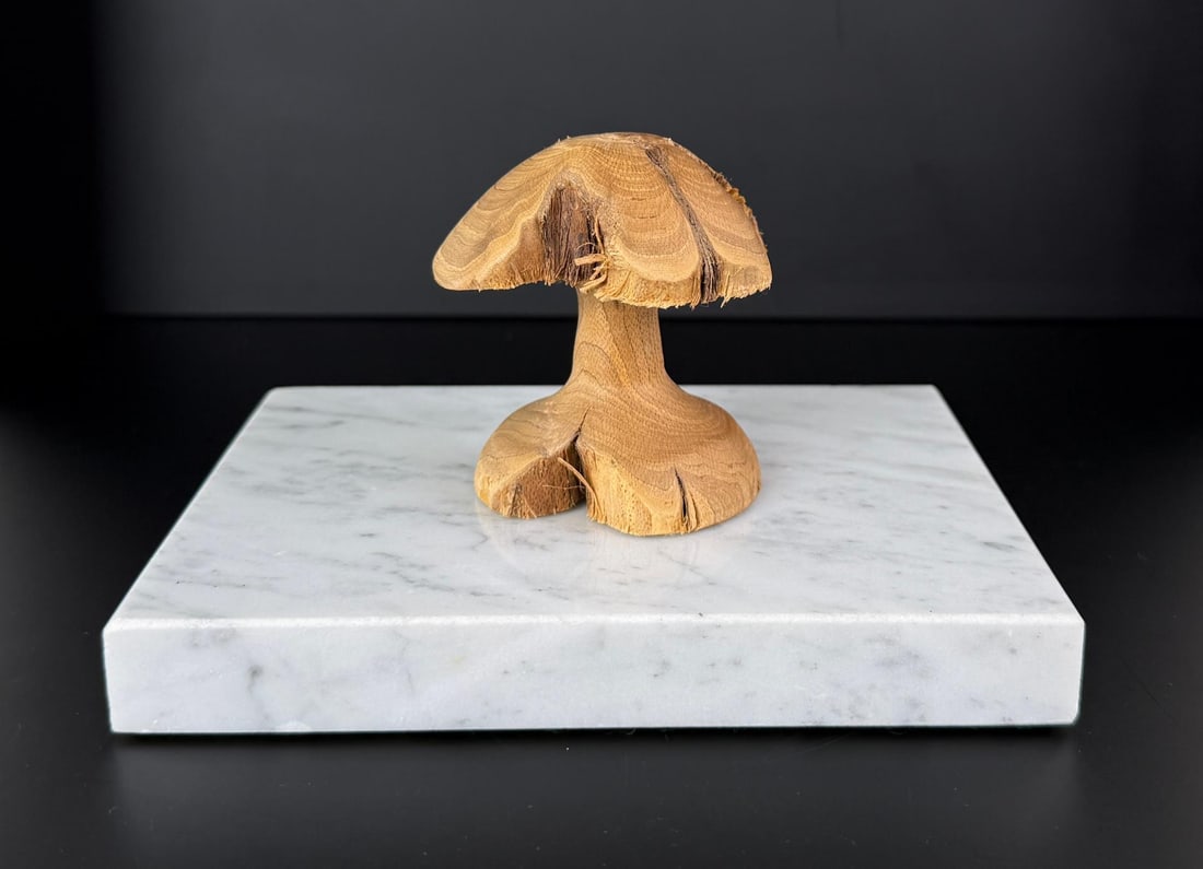 Wounaan Indian Walnut Mushroom Carving (1 of 7)