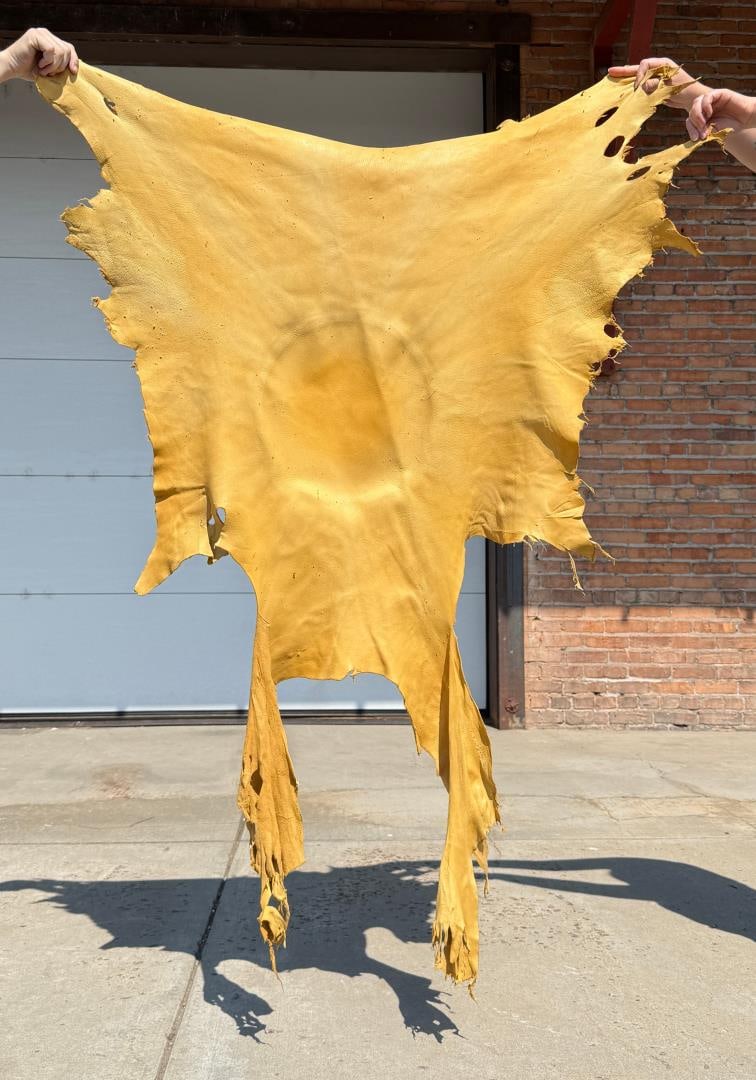 Montana Taxidermy Tanned Leather Elk Hide (1 of 3)