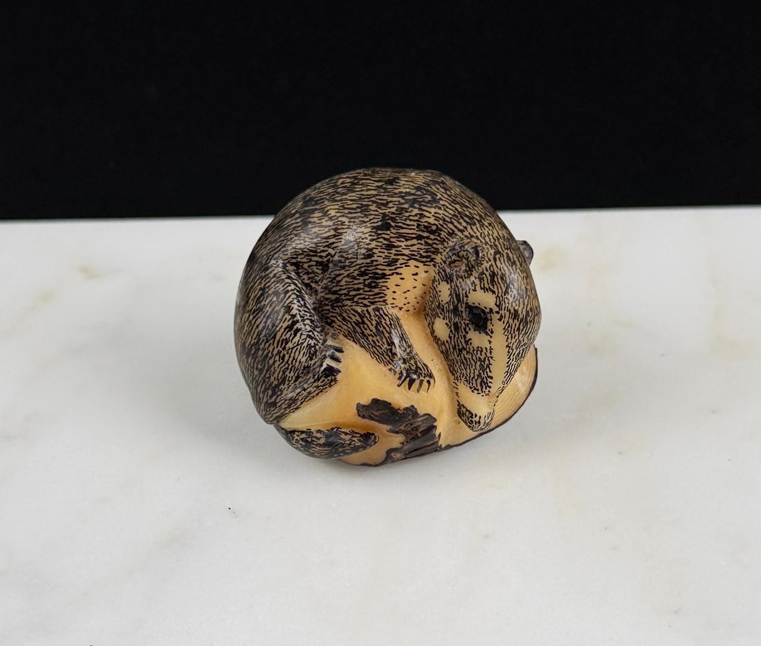 Wounan Indian Coatimundi Tagua Nut Carving (1 of 6)