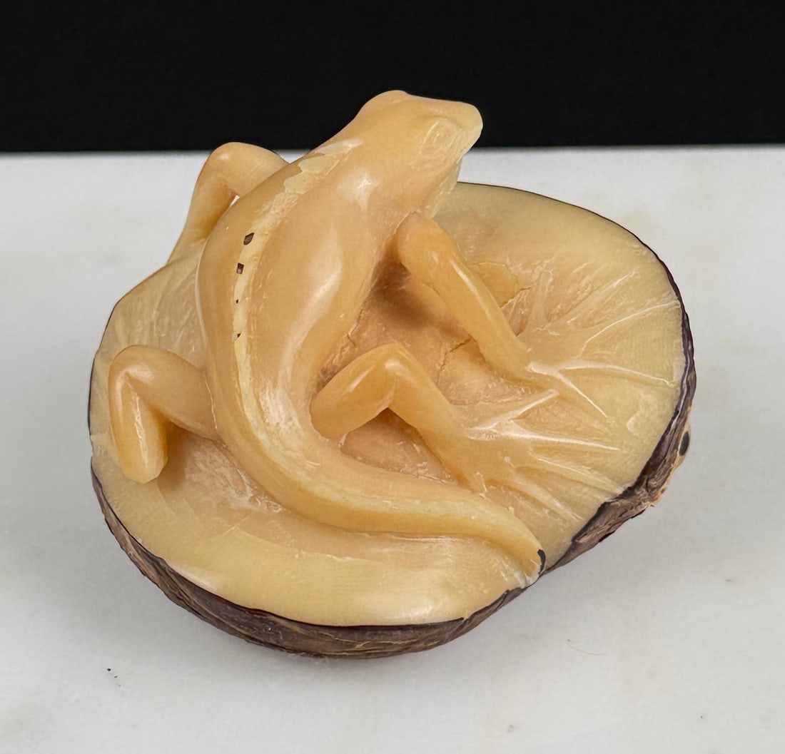 Wounan Indian Lizard Tagua Nut Carving (1 of 4)