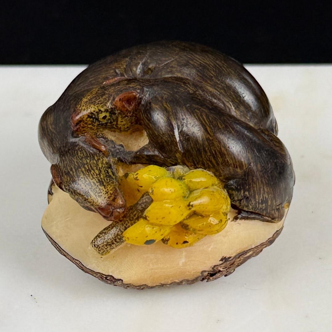 Wounan Indian Capybara Tagua Nut Carving (1 of 6)