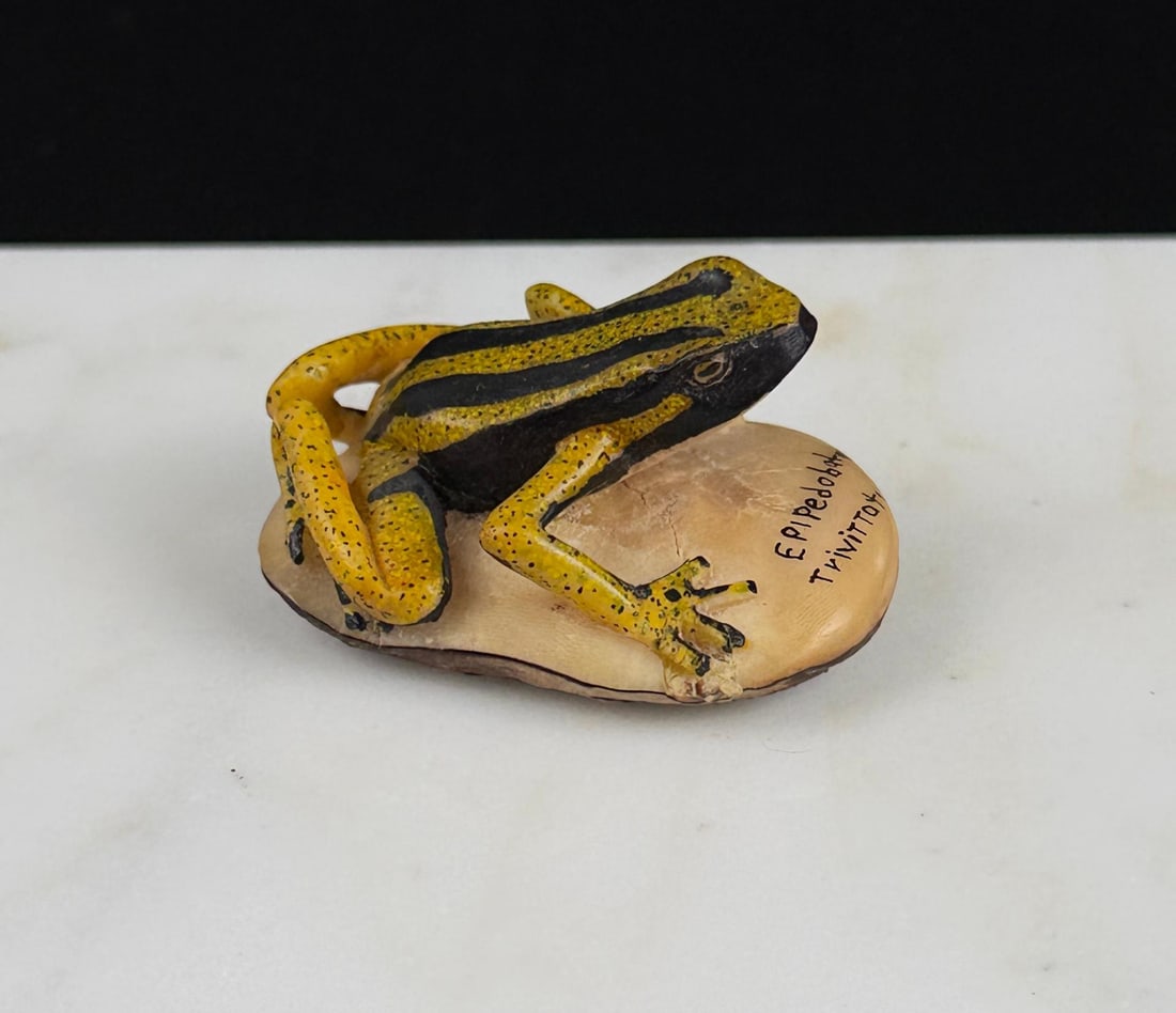 Wounan Indian Poison Dart Frog Tagua Nut Carving (1 of 7)