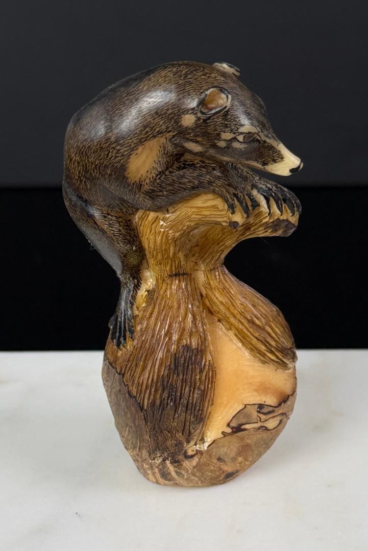 Wounan Indian Coatimundi Tagua Nut Carving: 1 3/4" by 1 7/8" by 3 1/2"