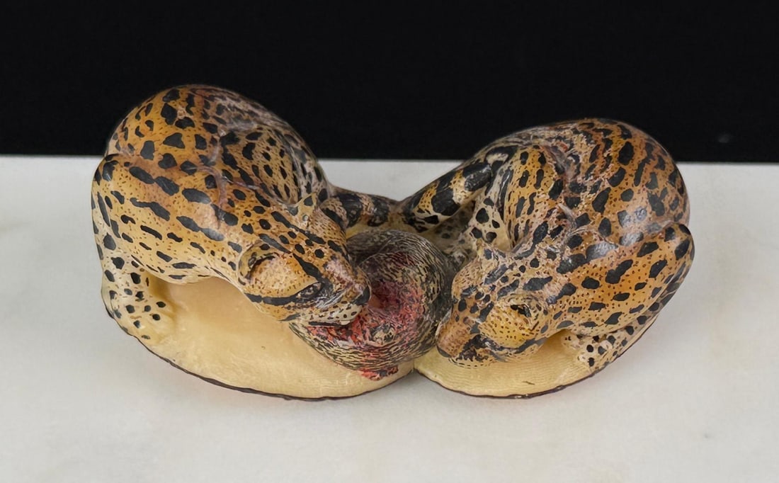 Wounan Indian Leopards Feasting Tagua Nut Carving: 1" by 1 3/4" by 2 7/8"