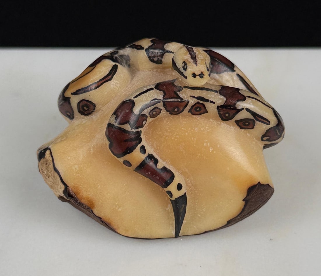 Wounan Indian Boa Constrictor Tagua Nut Carving (1 of 6)