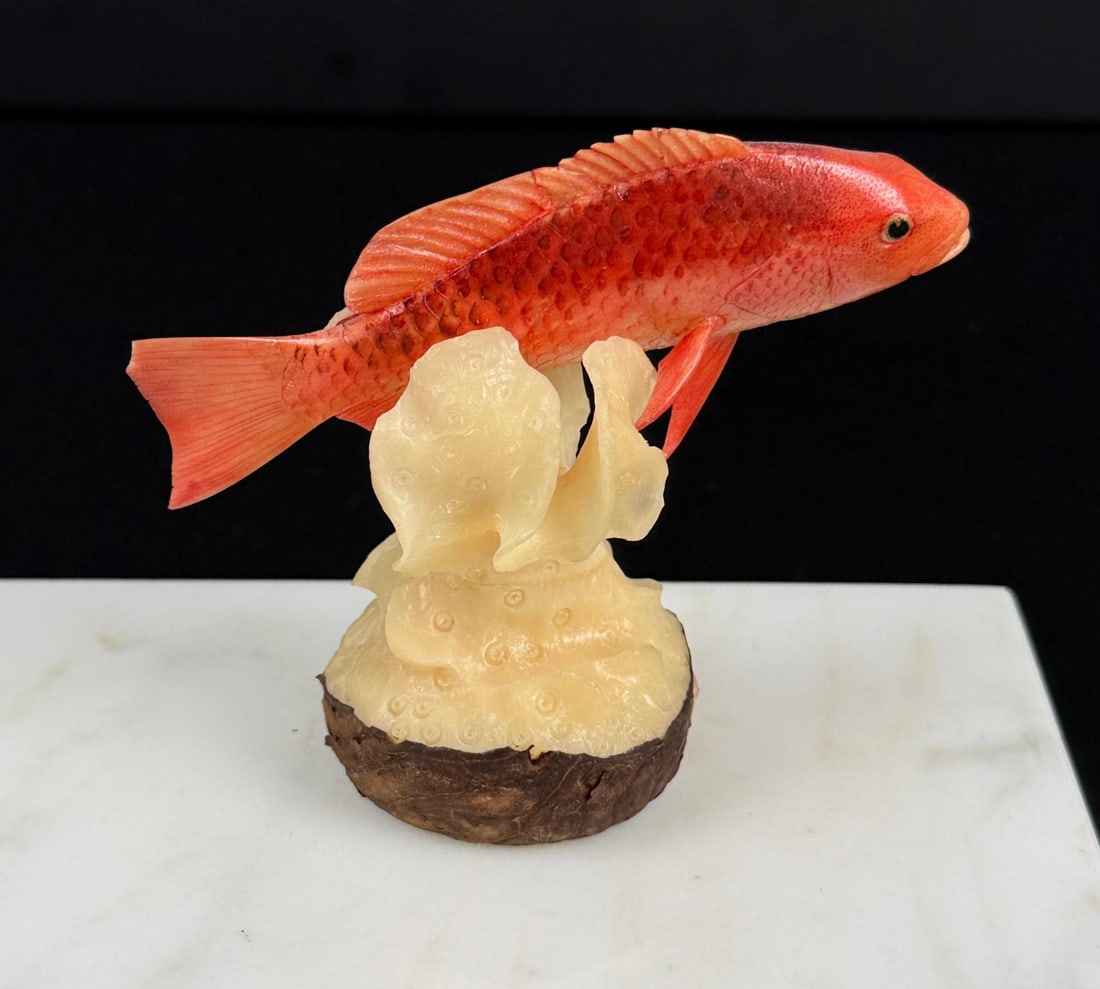 Wounan Indian Red Snapper Tagua Nut Carving (1 of 6)