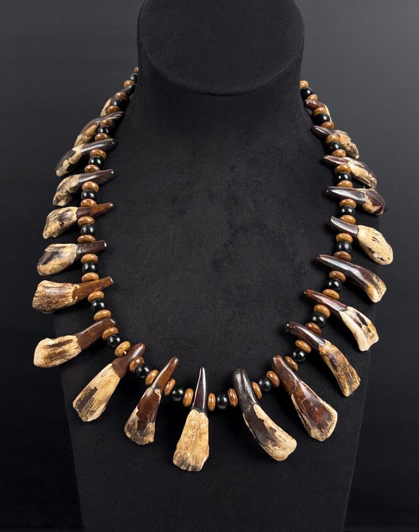 Plains Indian Buffalo Tooth Necklace: 14" long as displayed.