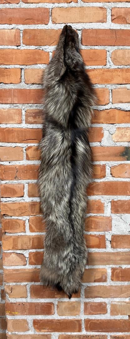 Ranch Silver Fox Fur Pelt Taxidermy: 40" long. No tail.