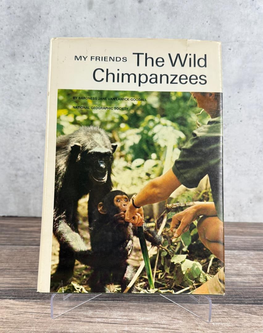 My Friends The Wild Chimpanzees (1 of 7)