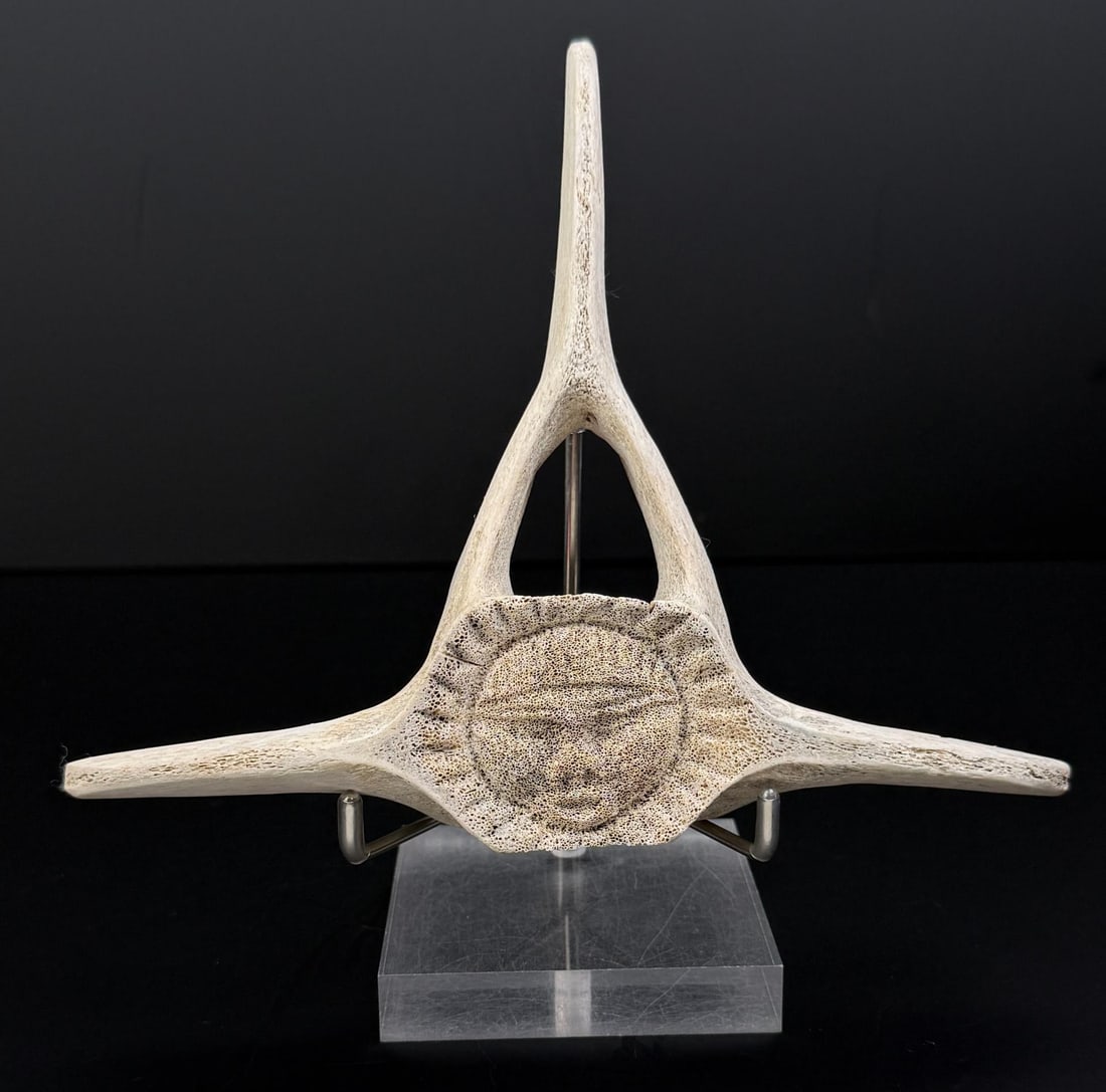 James Crow Colbourne Carved Whale Vertebrae (1 of 4)