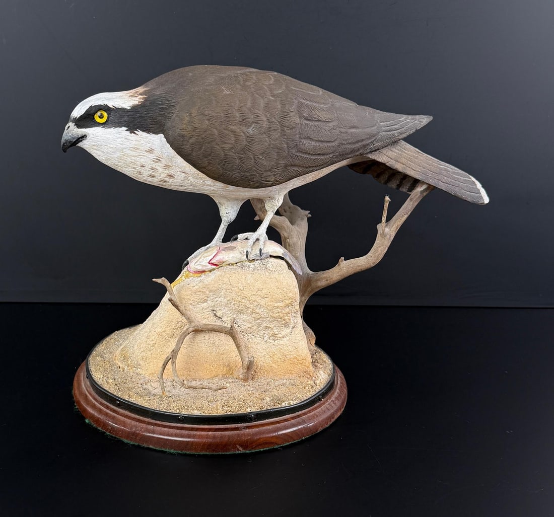 Stephen Adams Osprey Wood Carving (1 of 10)