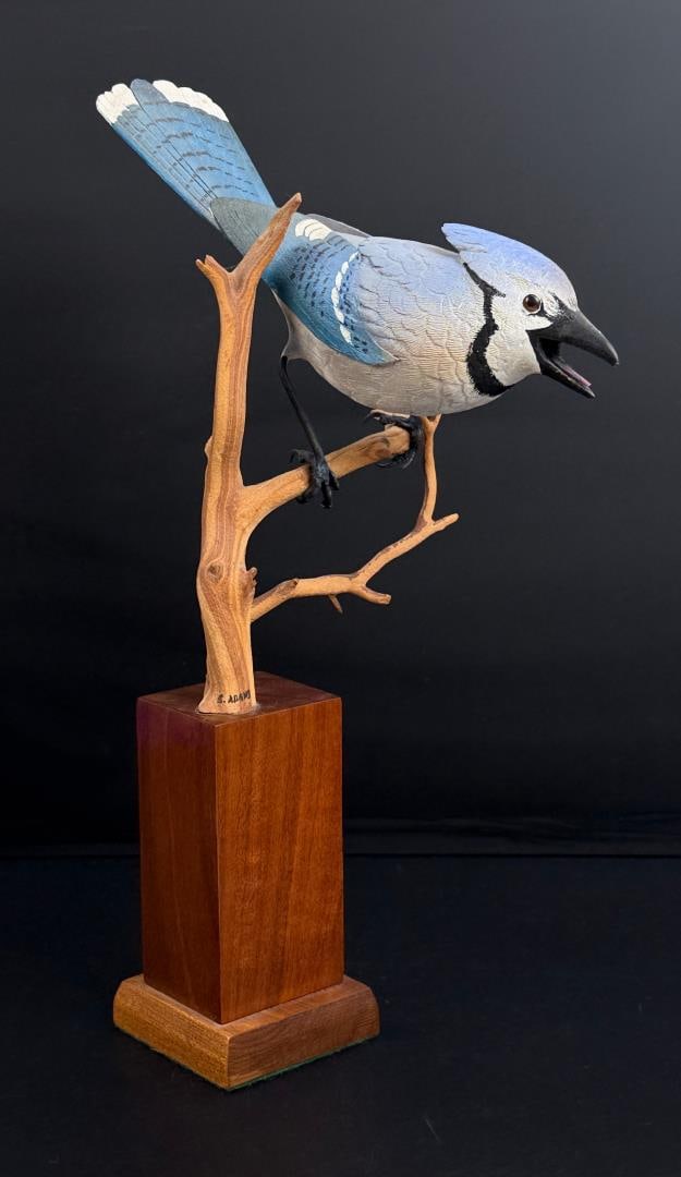 Stephen Adams Blue Jay Wood Carving (1 of 6)