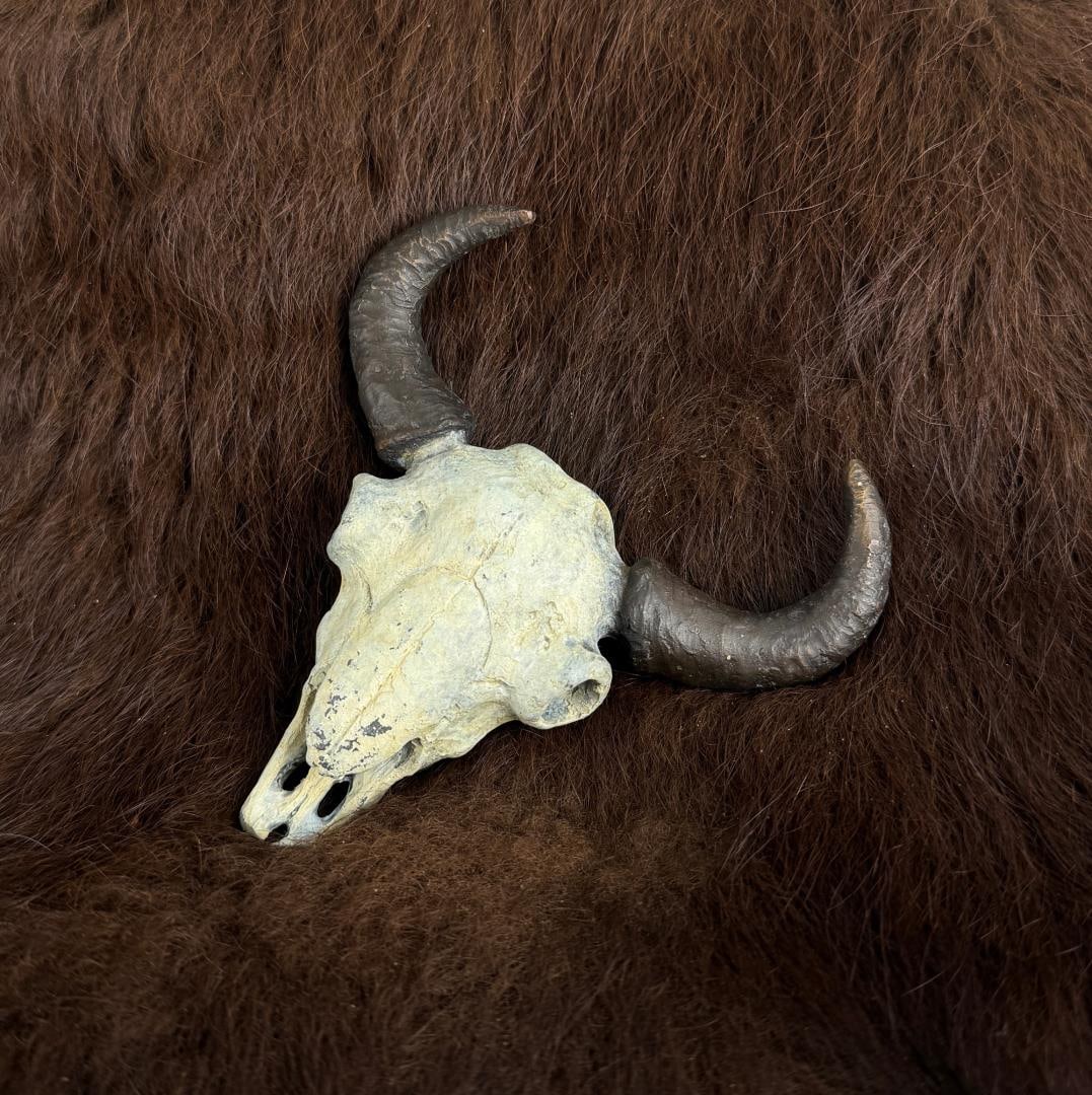 Jack Muir Bison Skull Bronze (1 of 11)