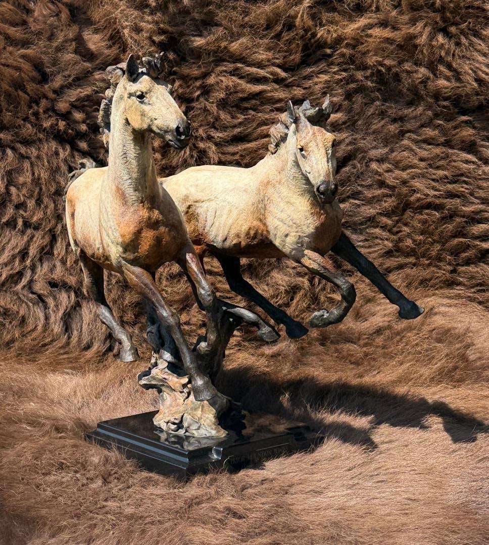 Jack Muir Pryor Mountain Ponies Bronze (1 of 9)