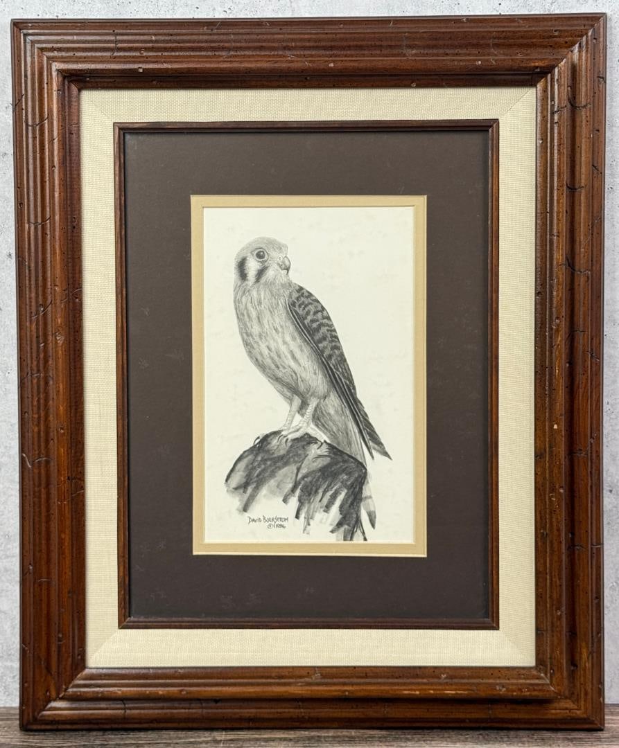 David Bjurstrom Sparrow Hawk Drawing (1 of 6)