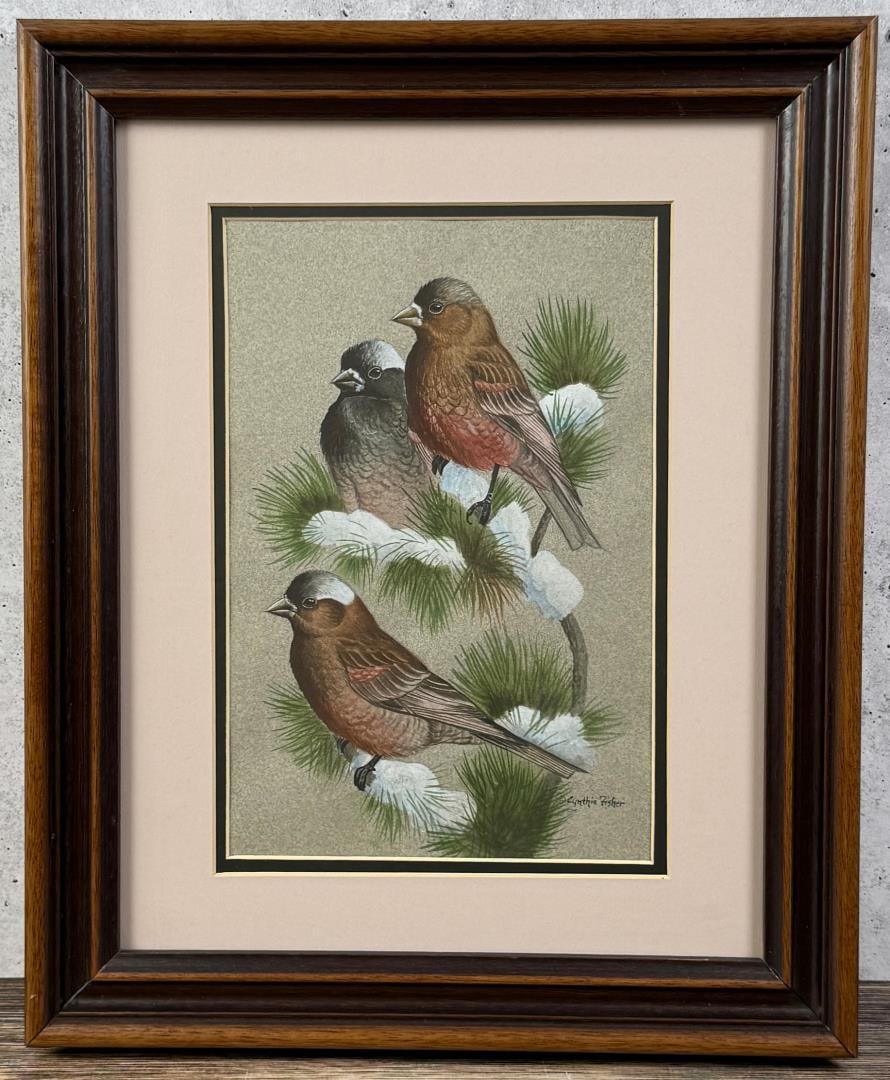 Cynthie Fisher Rosy Finches Watercolor Painting: Title is Rosy Finches. 8" by 11" unframed. 13 1/2" by 16 1/2" framed. Watercolor on Board. Cynthie Fisher (20/21st centuries) is active/lives in Montana. Cynthie Fisher is known for Wildlife painting.
