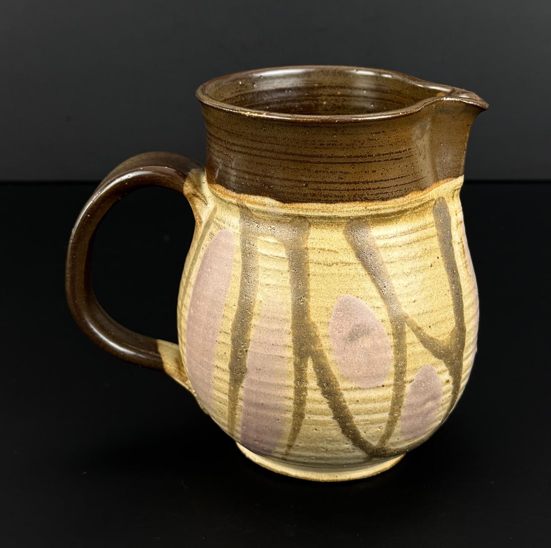 Frances Senska Montana Studio Pottery Pitcher (1 of 6)