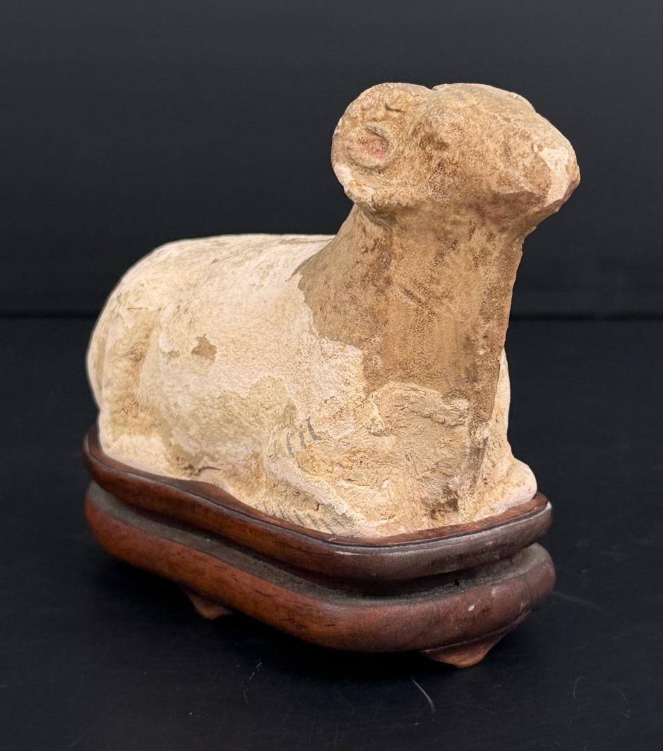 Chinese Tang Dynasty Terracotta Recumbent Ram: 5 1/4" by 4" by 2 1/2". Provenance: Ex T.M. James & Sons China Co., Missouri, Sotheby?s Chicago. Acquired at Crescent City Auction Gallery, LA, November 2016
