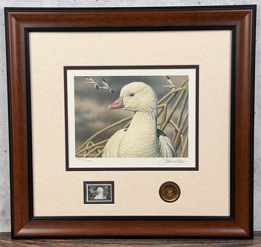 2006 Federal Duck Stamp Print (1 of 7)